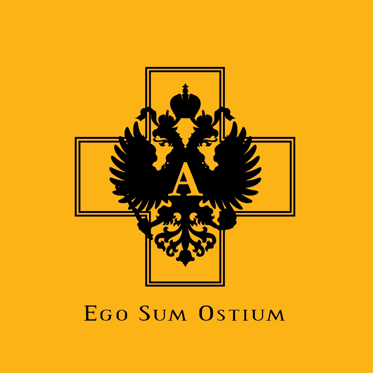 Академисты